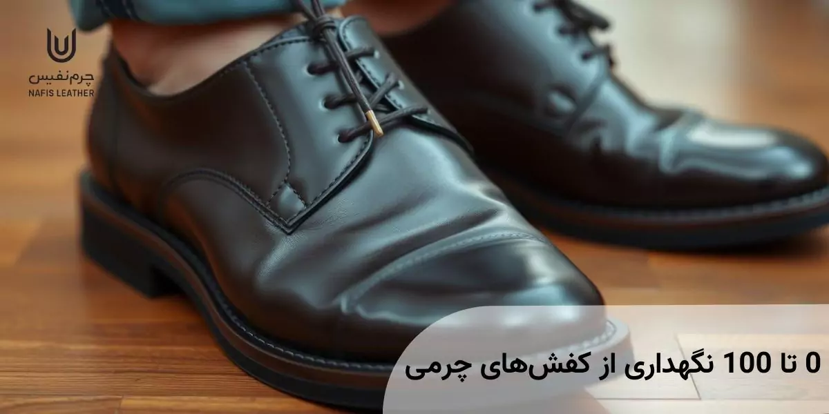 0 تا 100 نگهداری از کفش های چرمی