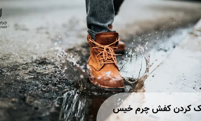 کفش چرم خیس