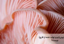 چرم میکروبی چیست