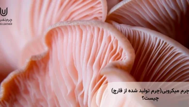 چرم میکروبی چیست